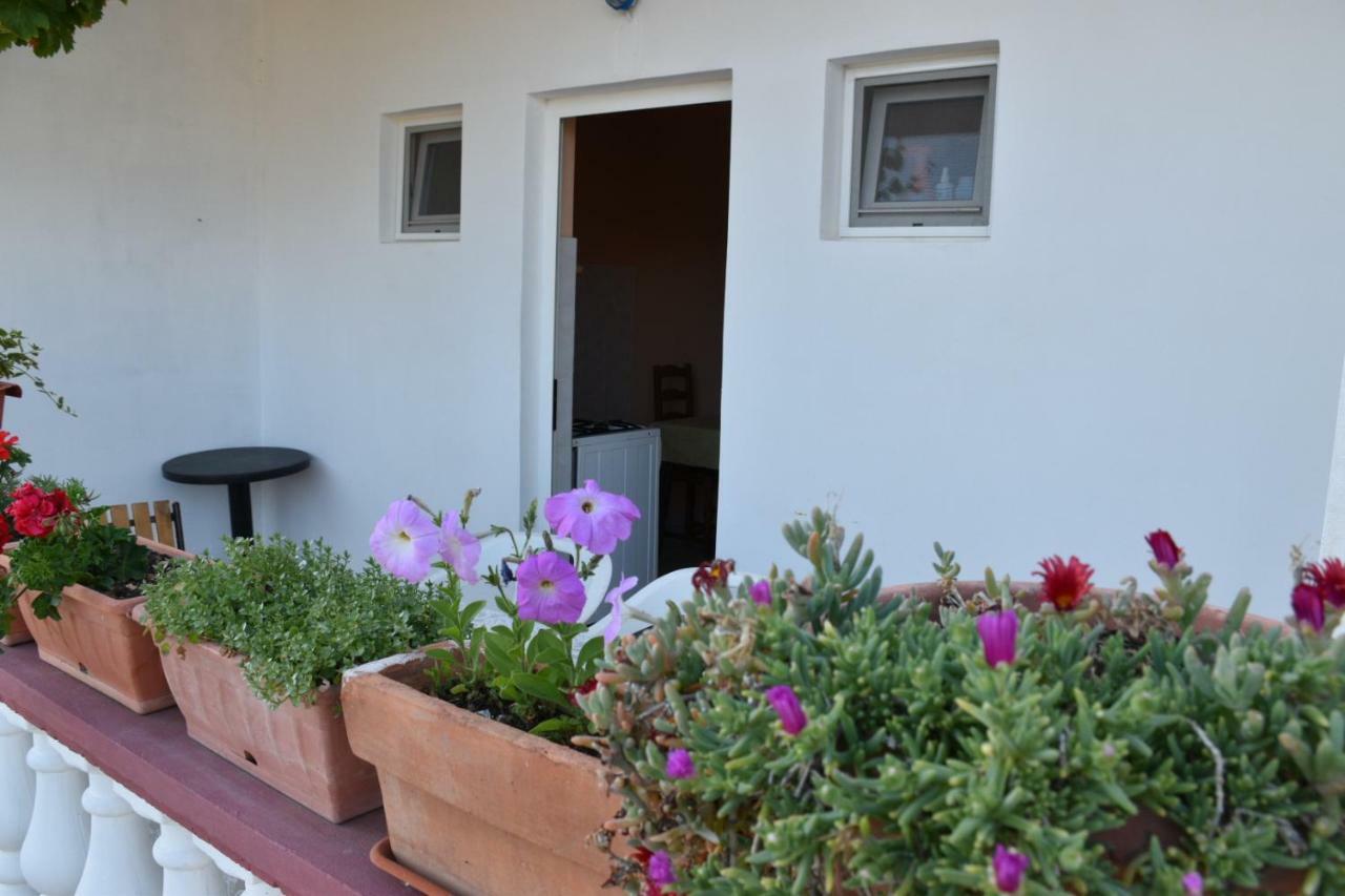 Mauro Apartamento Ražanac Exterior foto